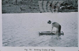 Sinking crates of flax