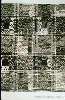 Plakhta pattern (skirt). Chernihiv region. XIX century.