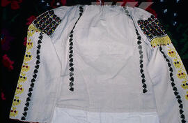 Embroidered women's shirt.