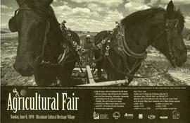 Agricultural Fair