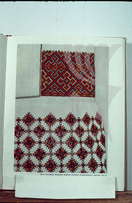 Embroidery pattern on women's blouse. Stanislav region. XIX century.