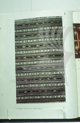 Pattern of vereta (carpet/runner). Stanislav region. XX century.