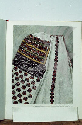 Embroidery pattern of the women's blouse. Stanislav region. Late XIX century.