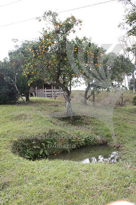 Lozovei farm, Costa Carvalio, Santa Catarina